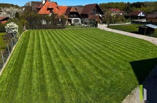 Grundstück zu kaufen in 5111 Bürmoos, Bürmoos: Sonniges Grundstück in Toplage am Ortsrand