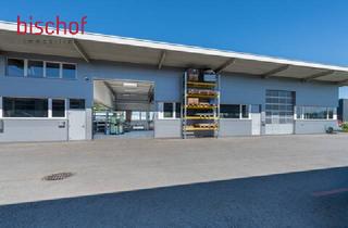 Gewerbeimmobilie mieten in 6971 Hard, Moderne Werkhalle mit Bürofläche