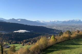 Wohnung kaufen in 6900 Bregenz, Traumhafter Blick von der FLUH über die Berge und ins Rheintal - 140qm, 4 Zimmer, Alpen-Chalet-Style