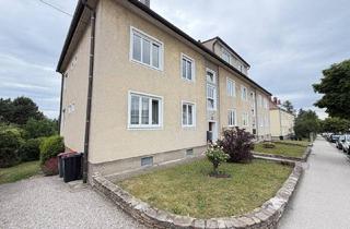 Wohnung kaufen in 2020 Hollabrunn, Charmante 3-Zimmer Wohnung mit Garten in Hollabrunn - € 129.000,00