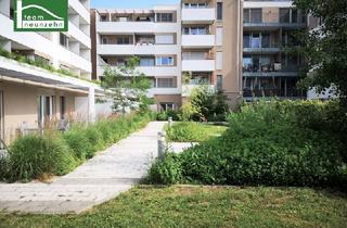 Wohnung mieten in Kremser Landstraße, 3100 Sankt Pölten, Hofseitige 2 Zimmer Neubauwohnung in bester Lage!