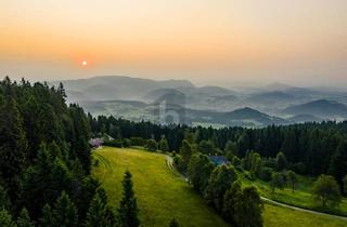 Grundstück zu kaufen in 9562 Himmelberg, ABSOLUTE RUHELAGE AUF 1100 METER