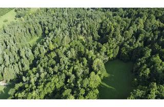 Gewerbeimmobilie kaufen in 8101 Sankt Veit, 6,3 ha Wald in Gratkorn – Nähe Graz | € 89.000