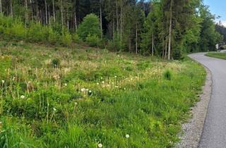 Grundstück zu kaufen in 9220 Velden am Wörther See, Familienfreundliche Ruheoase mit exzellenter Ortsanbindung