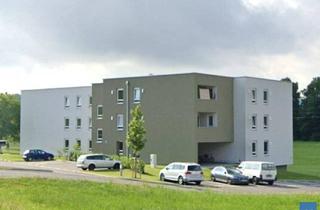 Wohnung mieten in Mettmacher Straße 20, 5252 Aspach, Objekt 2223: 3-Zimmerwohnung in Aspach, Mettmacher Straße 20, Top 1 (inkl. Carport)