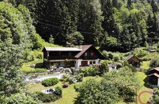 Haus kaufen in 9544 Feld am See, Seeblickliegenschaft mit Seegrund und eigener Quelle in Feld am See