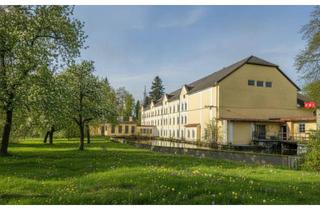 Büro zu mieten in 4050 Traun, Lagerflächen mit Büro in historischer Mühle (Vierkanthof) mit günstiger Pauschalmiete (inkl. Betriebskosten) nähe Gewerbepark Franzosenhausweg bei der A7-Abfahrt richtung Linz in St.Martin/Traun