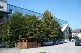Wohnung mieten in Parksiedlung, 8101 Sankt Veit, Mietwohnung