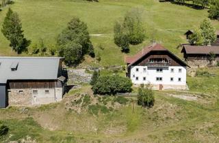 Garagen kaufen in 9863 Rennweg, Exklusives Landgut am Katschberg - 32 Hektar Natur und Grenzenlose Möglichkeiten