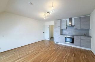 Wohnung mieten in Münzgrabenstraße, 8010 Graz, Nähe Tu-Graz - Moderne Kleinwohnung in Perfekter Infrastruktur Nahe Dietrichsteinplatz