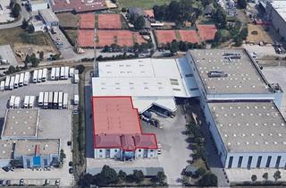 Büro zu mieten in Industriestraße 7, 2353 Guntramsdorf, Betriebsobjekt zur Untermiete in der Industriestraße in Guntramsdorf