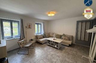 Haus kaufen in 3500 Krems an der Donau, Sanierungsbedürftiges Ferienhaus mit Ausblick ins Kremstal