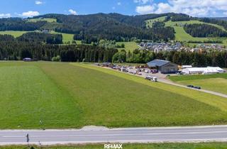 Grundstück zu kaufen in 8742 Obdach, 16.000 m² Gewerbegrund in Obdach zu kaufen!