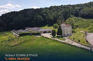 Haus kaufen in 8262 Ilz, Schlossanwesen mit über 10 ha Grund, mit bestehenden Stallungen, Gehegeflächen und Infrastruktur für Tierhaltung- ideal für Käufer mit Platzbedarf, Tiere und Naturbezug!
