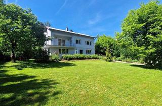 Haus mieten in 3413 Hintersdorf, Großzügiges Haus mit Traumgarten