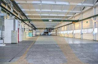 Büro zu mieten in 4060 Leonding, Lager-/Produktionshalle mit Büroflächen, Laderampe und Krananlagen in Leonding zu vermieten!