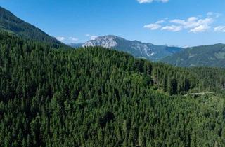 Grundstück zu kaufen in 8600 Bruck an der Mur, 1.000 ha Forstbesitz