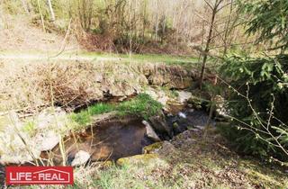 Gewerbeimmobilie kaufen in 4232 Hagenberg im Mühlkreis, Ruhiger, sonniger Kraftplatz – perfekt zur Selbstversorgung