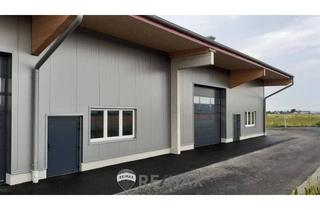 Büro zu mieten in 2201 Gerasdorf, "Lagerhalle Industriegebiet Hagenbrunn"