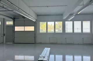 Büro zu mieten in 1230 Wien, Unbefristet: Betriebs-/Produktions- bzw. Lagerfläche mit Büroflächen und Laderampe - perfekte Kombination nächst U-Bahn.