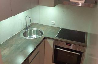 Wohnung mieten in Grabenstraße 45, 8010 Graz, Geidorf – Stadtwohnung mitten in der Stadt und doch im Grünen! Privat - Provisionsfrei!