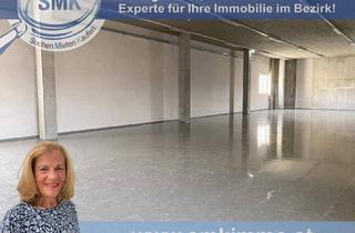 Büro zu mieten in Gastgebgasse, 1230 Wien, PERFEKT – NEU GESTALTETE LAGERFLÄCHE MIT LASTENAUFZUG!
