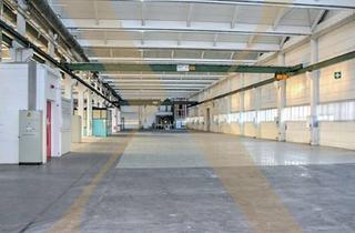 Lager mieten in Flughafen Hörsching, 4060 Leonding, Lager-/Produktionshalle mit Büroflächen, Laderampe und Krananlagen in Leonding zu Vermieten!