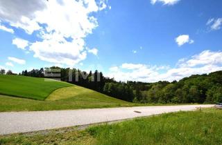 Grundstück zu kaufen in 4040 Linz, Idyllischer Bauplatz für Ihr Traumhaus-Stadtgrenze Urfahr