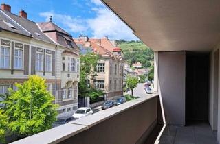 Wohnung kaufen in Steinertor, 3500 Krems an der Donau, Neuwertige Balkonwohnung | zwischen Stadtpark & Imc Hochschule | 2 Garagenplätze