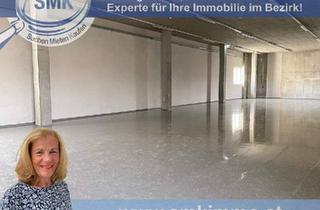 Büro zu mieten in Gastgebgasse, 1230 Wien, PERFEKT – NEU GESTALTETE LAGERFLÄCHE MIT LASTENAUFZUG!