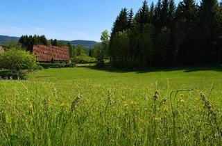 Grundstück zu kaufen in 8591 Maria Lankowitz, Baugrundstücke mit Wald und eigener Quelle - Nähe Golfclub Erzherzog Johann