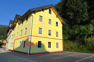 Wohnung mieten in 8900 Selzthal, 60m² Erdgeschoßwohnung in Selzthal!