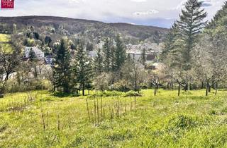 Grundstück zu kaufen in 3400 Klosterneuburg, Traumhaftes Hanggrundstück in Kierling, Klosterneuburg – sonnig & ruhig gelegen – Ihr Traum vom Eigenheim beginnt hier!