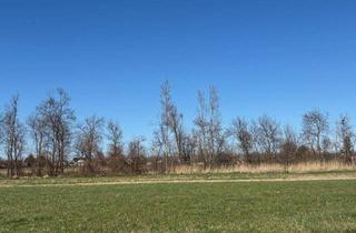 Grundstück zu kaufen in 2473 Potzneusiedl, Potzneusiedl - sichern Sie ihr Kapital! sonnige Baugrundstück(e) - OHNE BAUZWANG