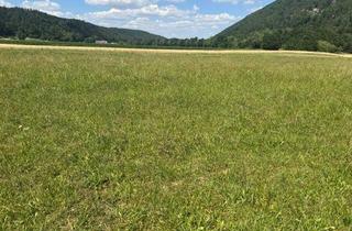 Grundstück zu kaufen in 2831 Gleißenfeld, Baugrund gesucht? Ihre Gelegenheit beim Naturpark Sebenstein!