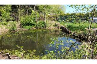 Grundstück zu kaufen in 8280 Fürstenfeld, Freizeitgrund bebaubar mit Teich