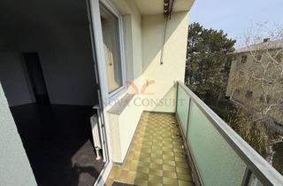 Wohnung kaufen in 2351 Wiener Neudorf, 4-Zimmerwohnung mit Loggia im letzten Stock!