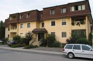 Wohnung mieten in 7071 Rust, Wohnung in Rust