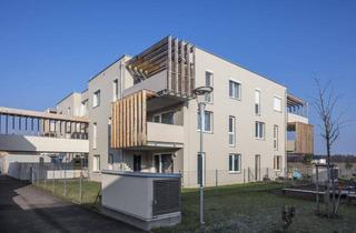Wohnung mieten in Bauernfeldstraße, 2231 Strasshof an der Nordbahn, Großzügiges Wohnen mit traumhafter Terrasse in Strasshof
