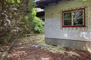 Villen zu kaufen in 2754 Waldegg, Verstecktes Juwel im Grünen: SANIERUNGSPROJEKT in traumhafter Waldrandlage!