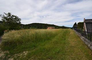 Grundstück zu kaufen in 7203 Wiesen, Top Baugrundstück, zentral mit Fernblick