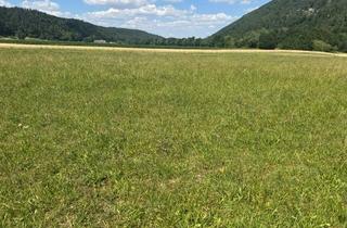 Grundstück zu kaufen in 2831 Warth, Baugrund gesucht? Ihre Gelegenheit beim Naturpark Sebenstein!