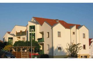 Wohnung mieten in 7000 Sankt Georgen am Leithagebirge, Wohnung in Eisenstadt
