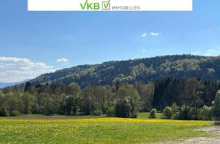 Grundstück zu kaufen in 4864 Attersee, Traumhafte Bauparzelle in unverbaubarer Aussichtslage
