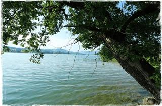 Wohnung mieten in Fischhof 30, 4894 Oberhofen am Irrsee, Vermiete eine Ferienwohnung am Irrsee für die Saison 2026