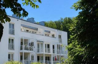 Wohnung mieten in Wiener Straße 70, 3002 Purkersdorf, Dachterrassenwohnung beim Hoffmann-Park in Purkersdorf zu vermieten