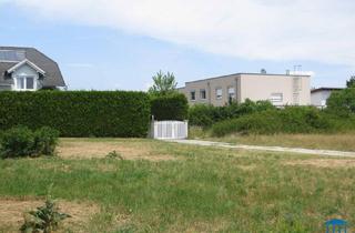 Grundstück zu kaufen in 2700 Wiener Neustadt, Baugrund in Wiener Neustadt