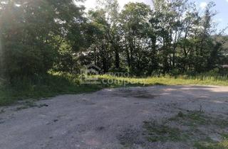 Grundstück zu kaufen in 2560 Berndorf, 4.000 m² Betriebsgrundstück - ideale Lage für Gewerbe & Logistik