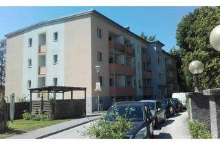 Wohnung mieten in Rathausstraße 23, 3300 Amstetten, 00170 00383 / 2 Zimmerwohnung in Parknähe