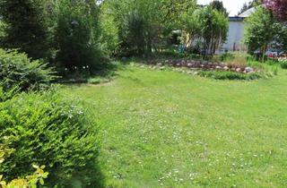 Grundstück zu kaufen in 1210 Wien, SCHWARZLACKENAU - IDYLLISCH, RUHIG, SONNIG - 528 m2 EIGENGRUND MIT ALTBESTAND